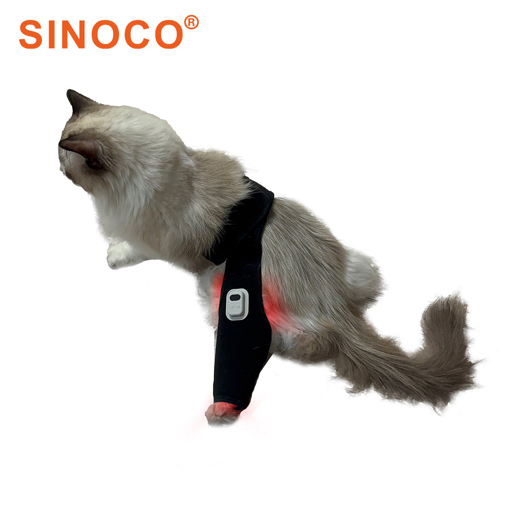 Sentia Support: Pet Red Light Therapy Device Joint Care