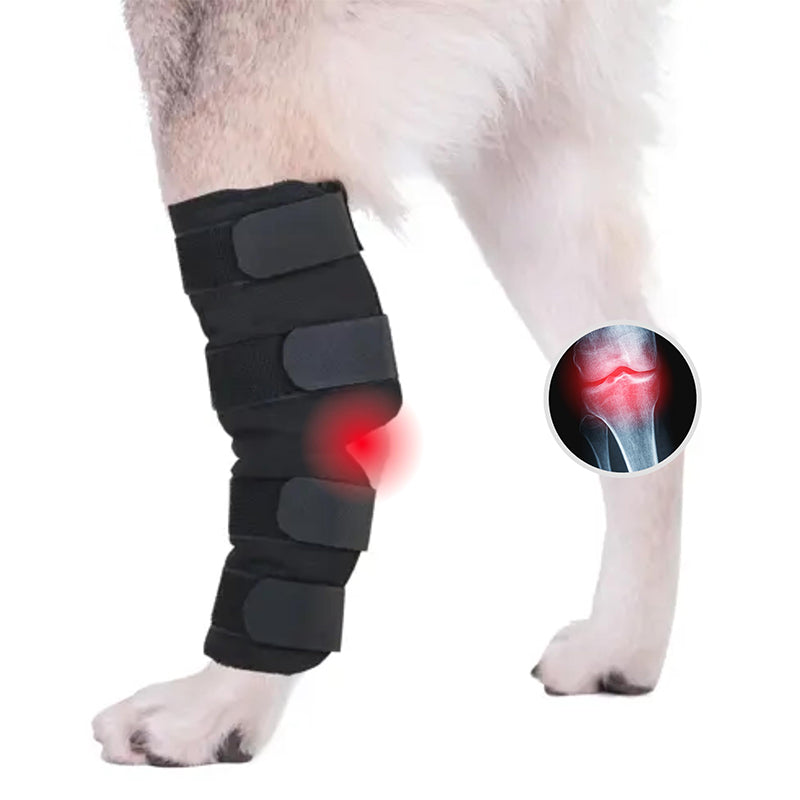 Sentia Support: Dog Extra Supportive Canine Rear Leg Hock Joint